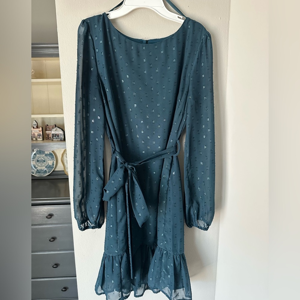 Francesca's Collections Teal Long Sleeve Dress